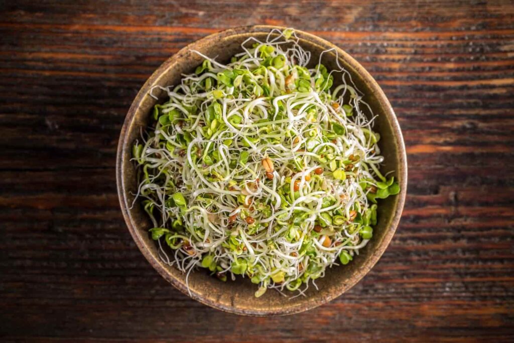 Sprouts Benefits In Hindi