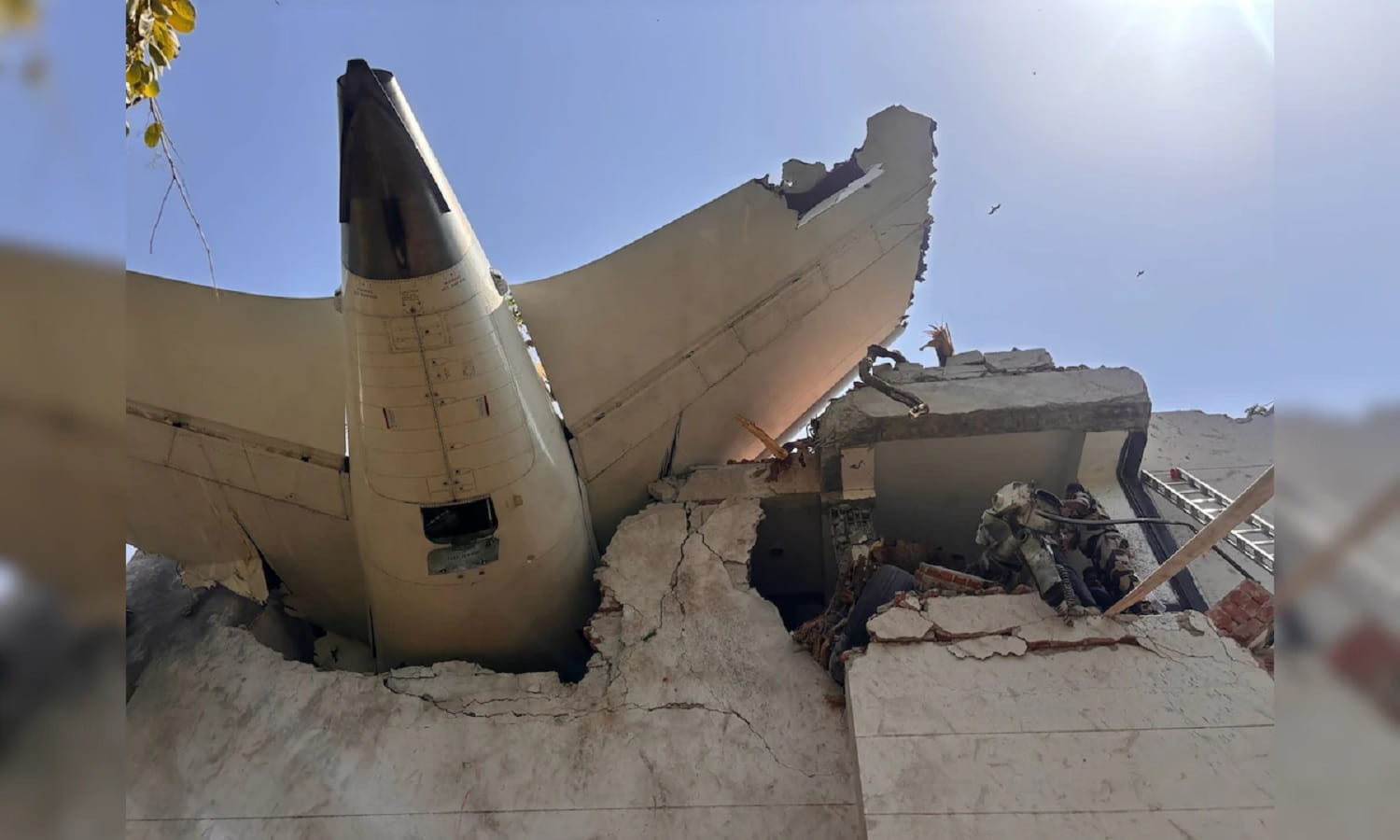 Air India Plane Crash: अहमदाबाद विमान हादसे में सभी 242 यात्रियों की मौत