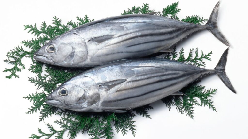 Benefits of Eating Tuna Fish