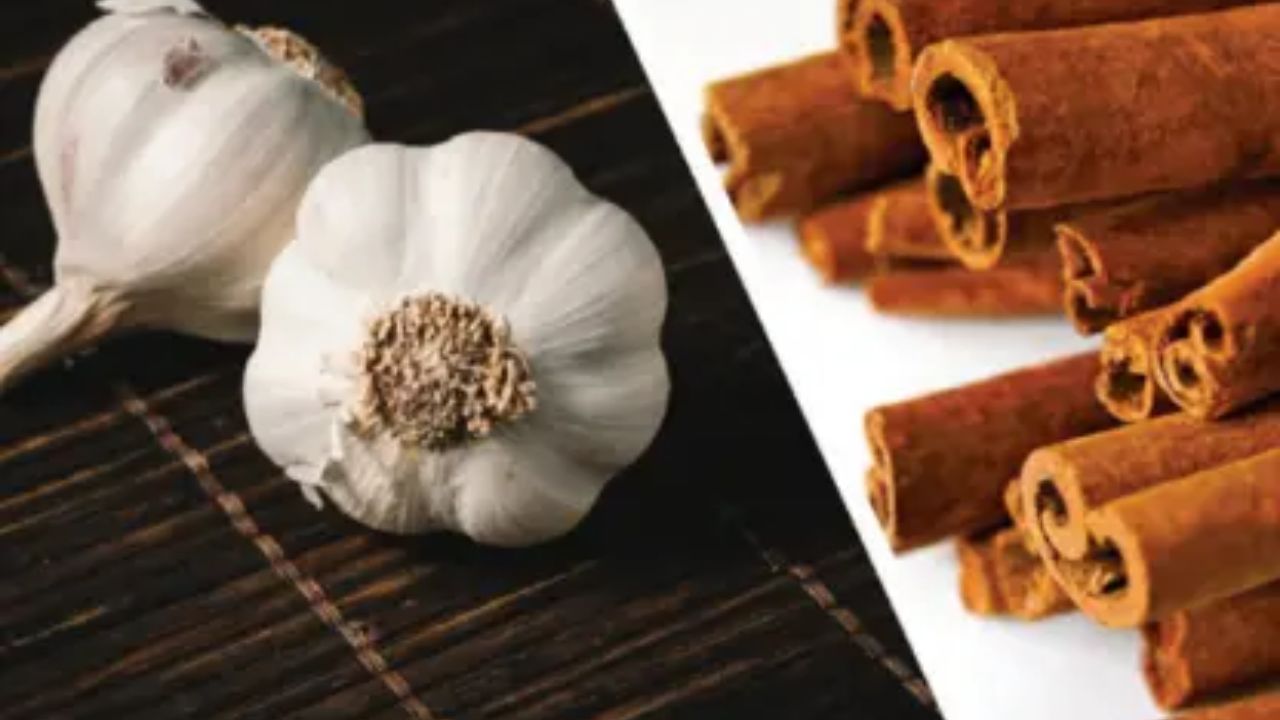 Cinnamon and Garlic Tea Benefits
