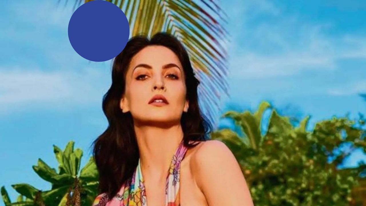 Elli Avram Bollywood Journey