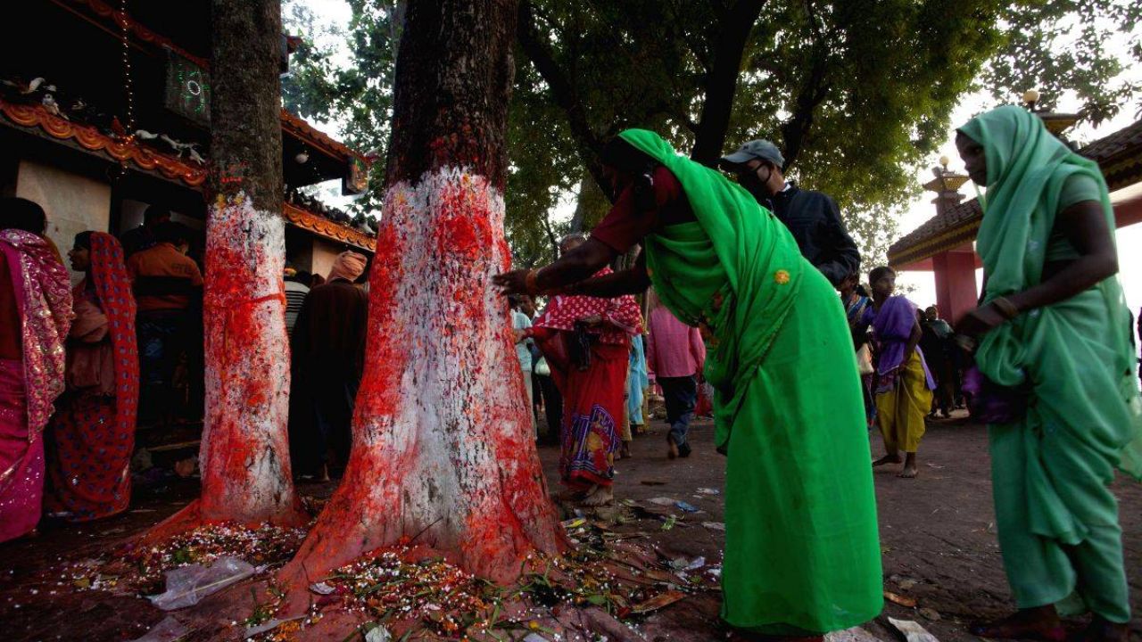 Hariyali Amavasya 2025 Upay