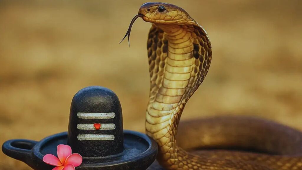 Nagpanchami 2025