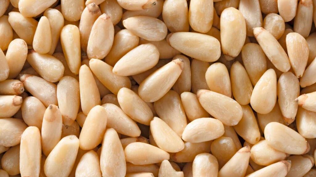 Pine Nuts Benefits