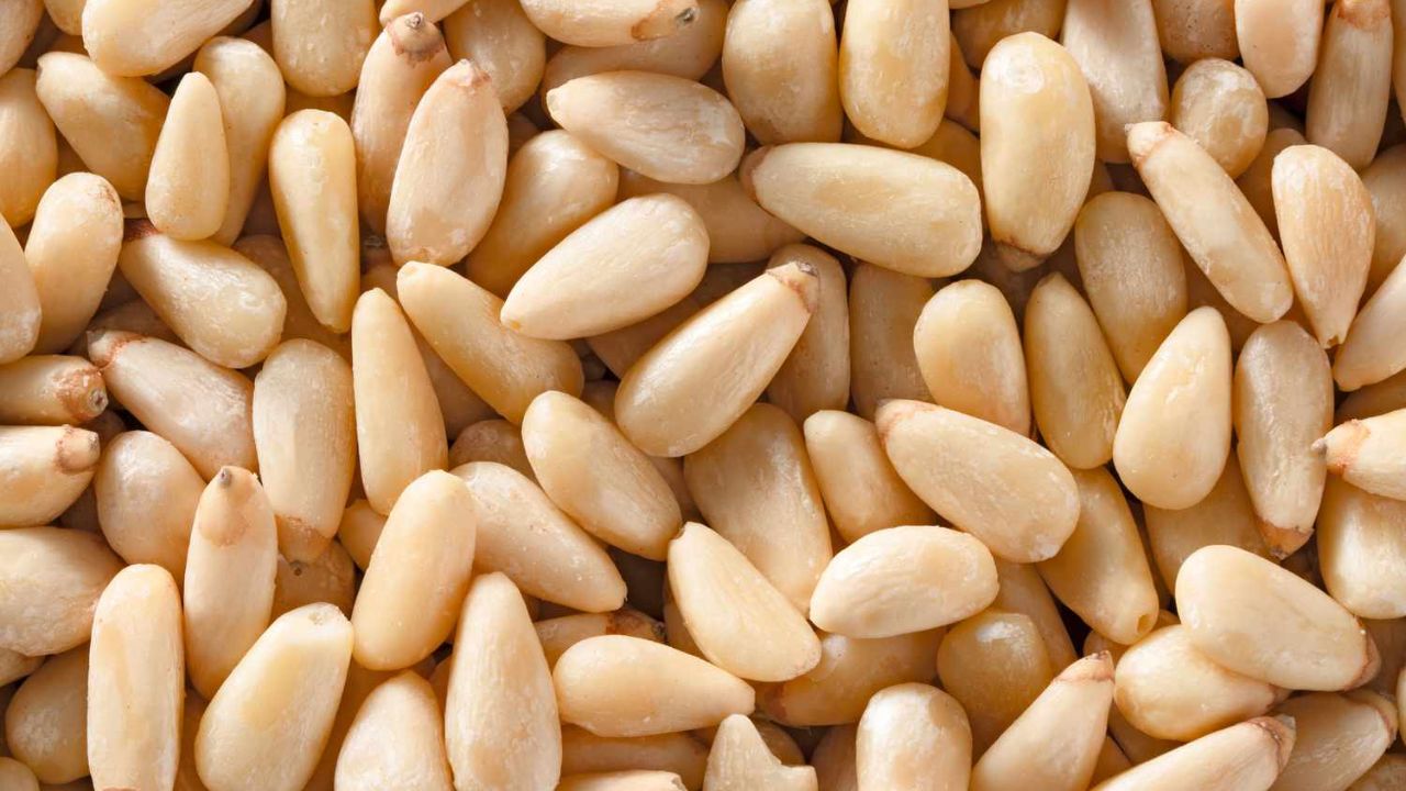 Pine Nuts Benefits