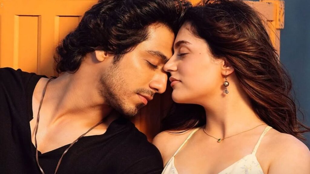 Saiyaara Star Cast