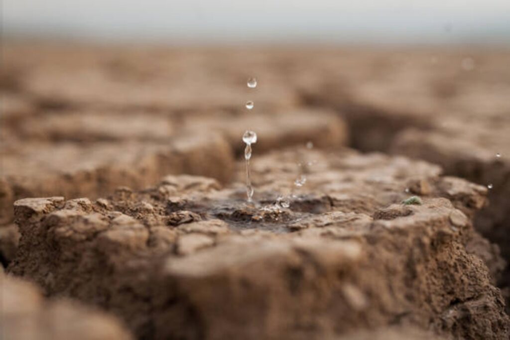 The secret of the sweet smell of soil