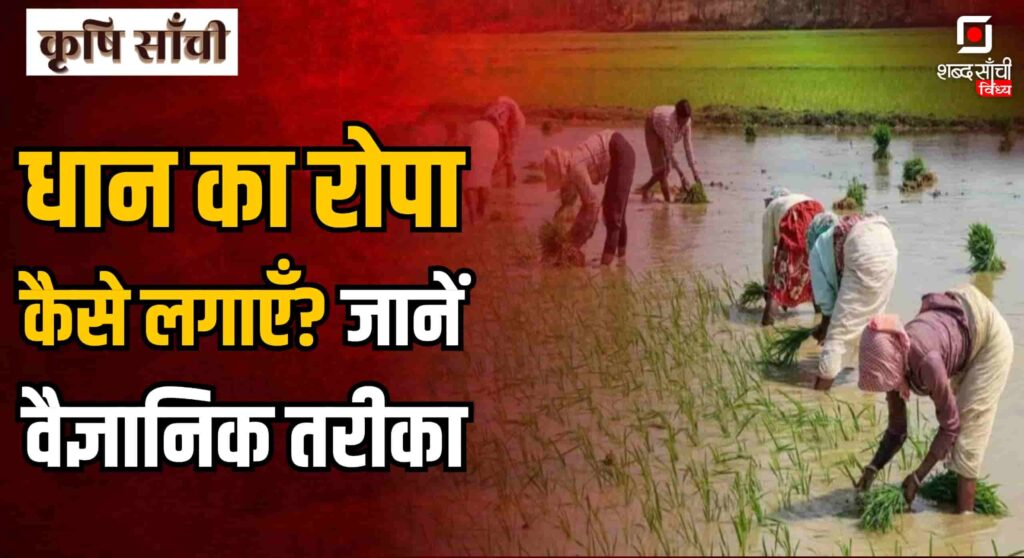Kharif Crop Farming Tips 2025 In Hindi