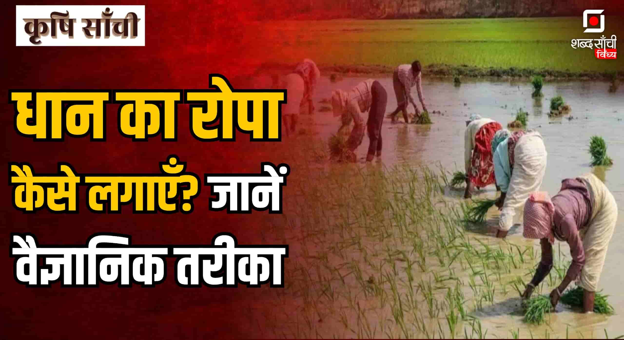 Kharif Crop Farming Tips 2025 In Hindi
