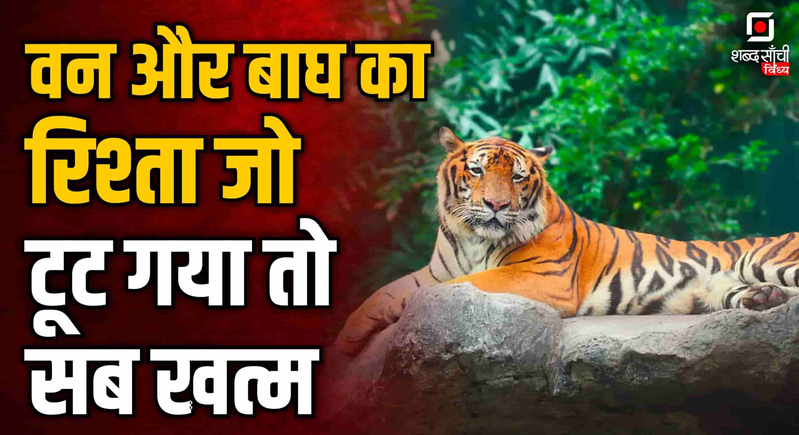 International Tiger Day 2025, Project Tiger In Hindi