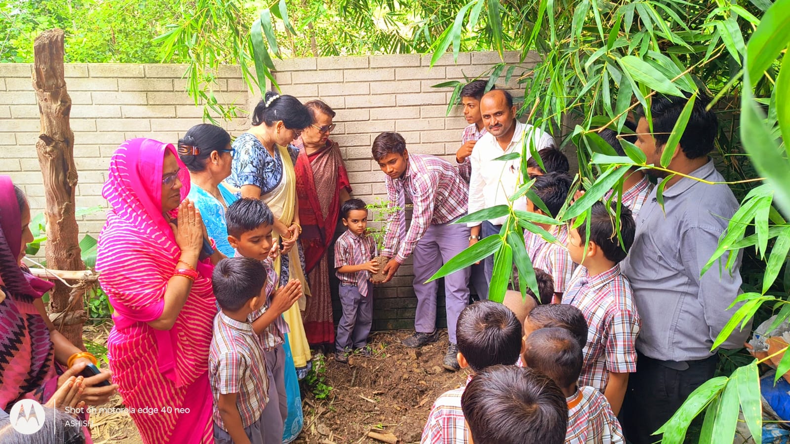 Plantation