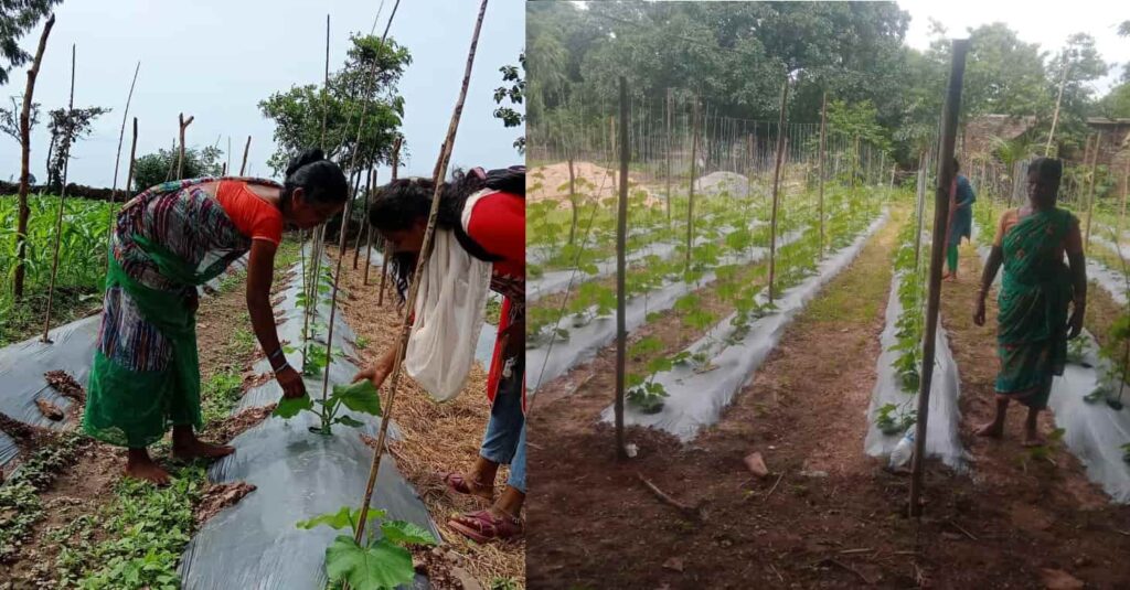 National Rural Livelihood Mission Bihan