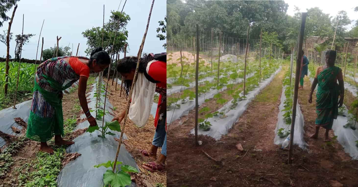 National Rural Livelihood Mission Bihan