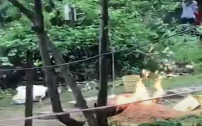 Fire breaks out in gas studio in Belha village of Rewa