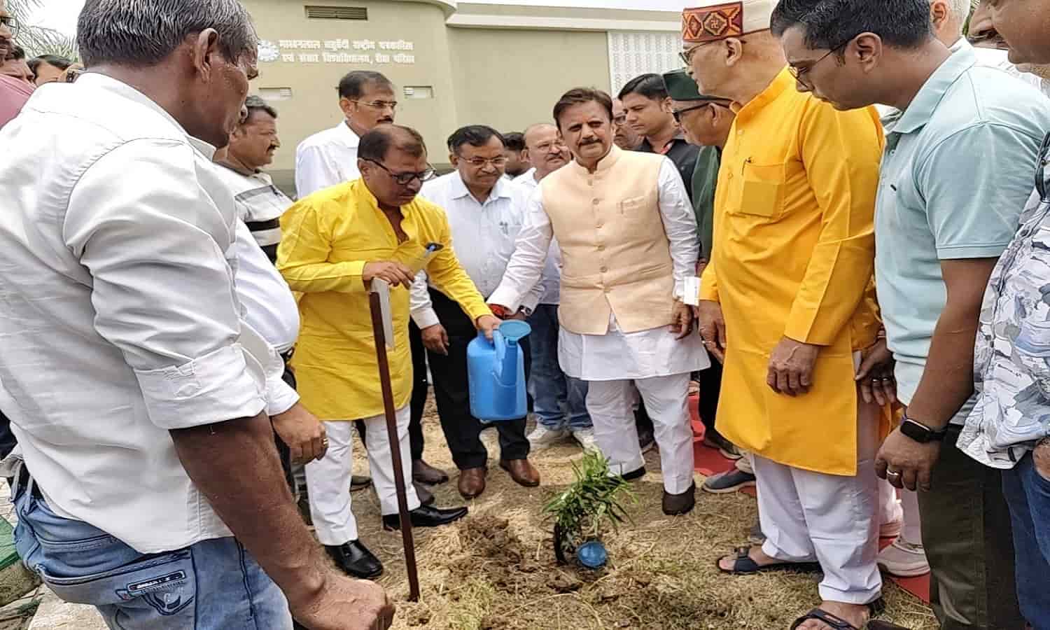 Rewa: रीवा जिले के इस क्षेत्र में बनेगा मुनगा वन