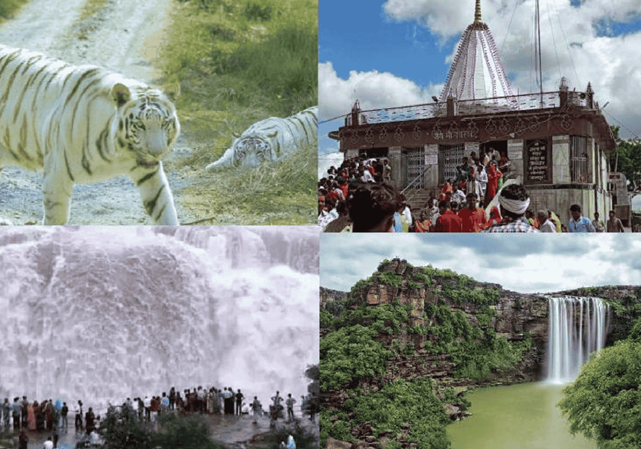 विंध्य के पयर्टन को लगेगे पंख, पर्यटनविद्रो का रीवा में होगा जमावड़ा, सीएम मोहन लेगे हिस्सा