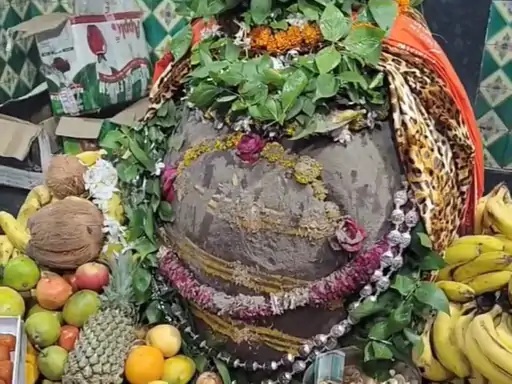 Ban on VIP darshan in Satna's Gavinath Dham