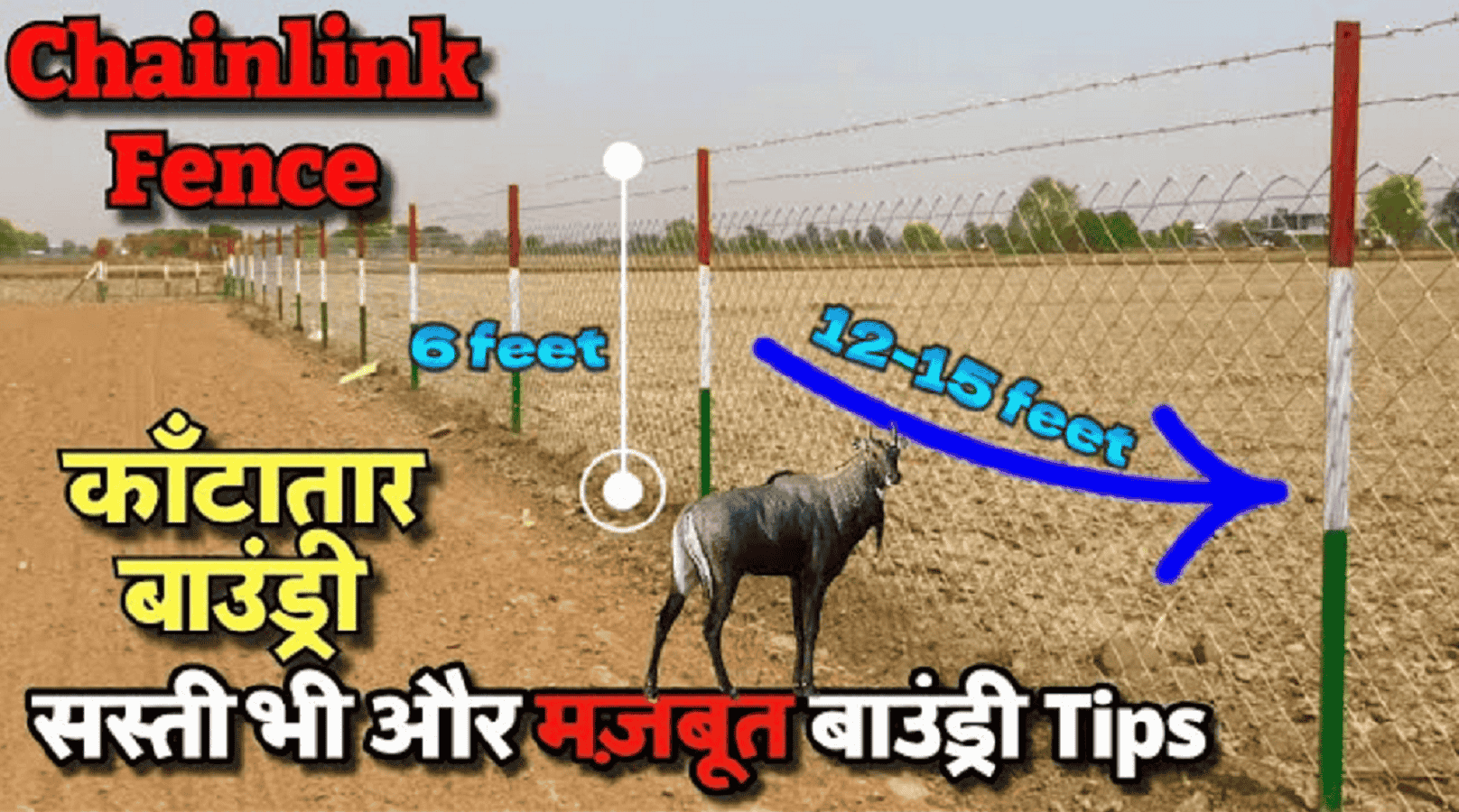 जानवरों से फसल की करे सुरक्षा, खेत पर जाली लगाने का आधा खर्च वहन करेगी सरकार