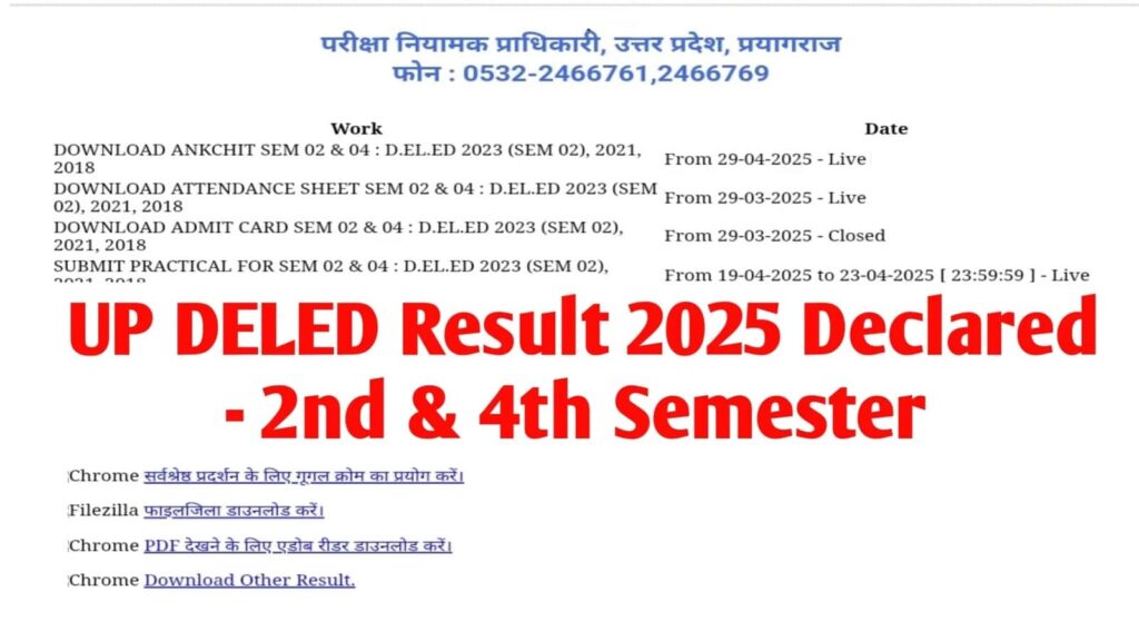 UP DElEd 2025 Result