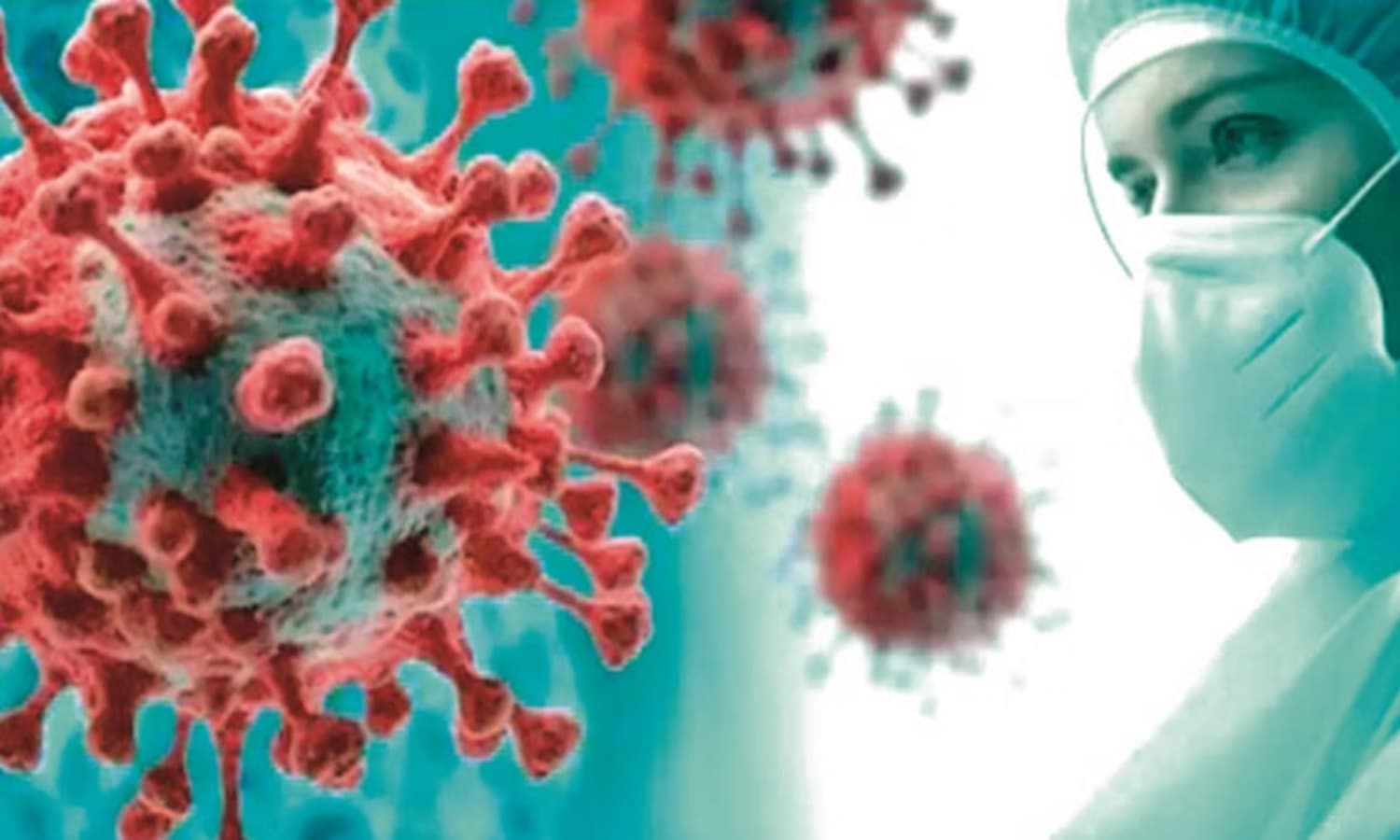 bird flu in uttarakhand