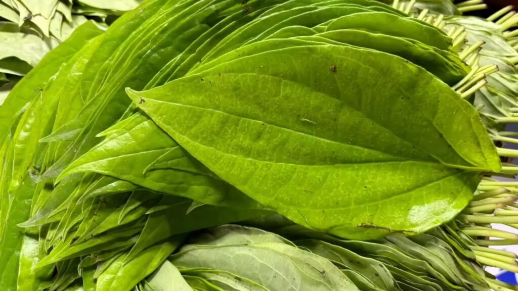 Betel Leaf for Stomach Ache and Indigestion