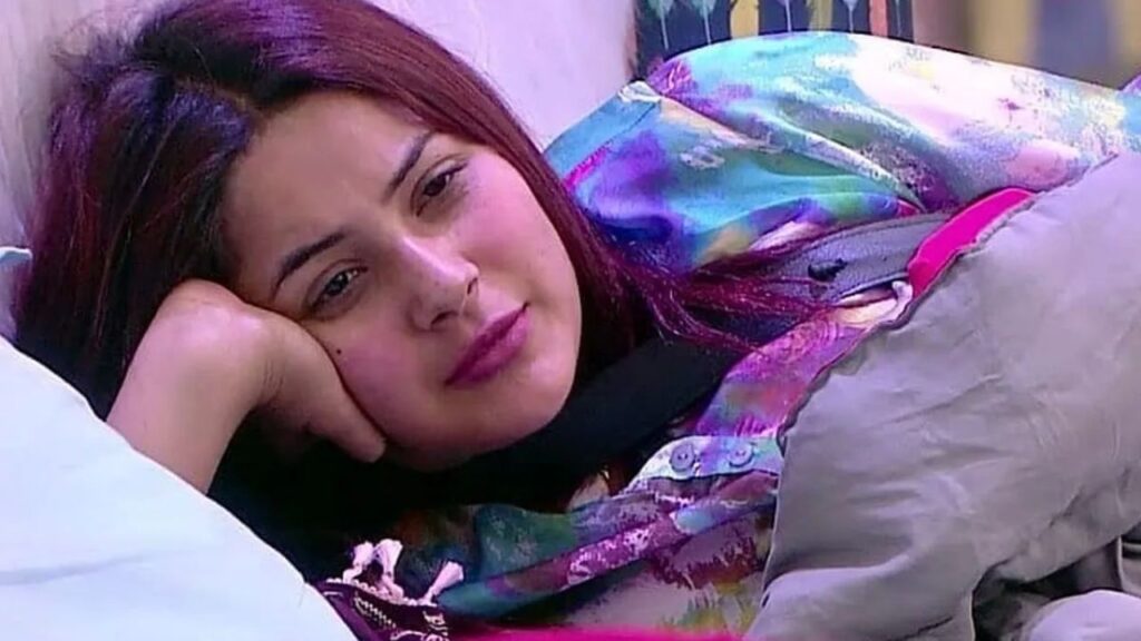 Big Boss 13 Contestant Shehnaz Gill Hospitalized