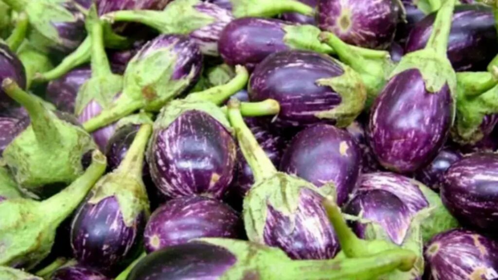 Eggplant Side Effects