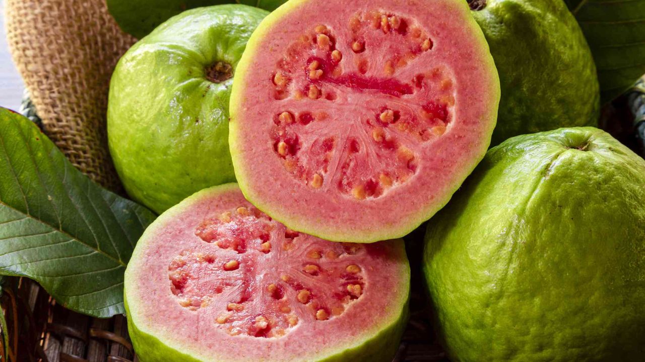 Guava Benefits for Weight Management: इस देसी फल से करे बढ़ते वजन और डायबिटीज को कंट्रोल