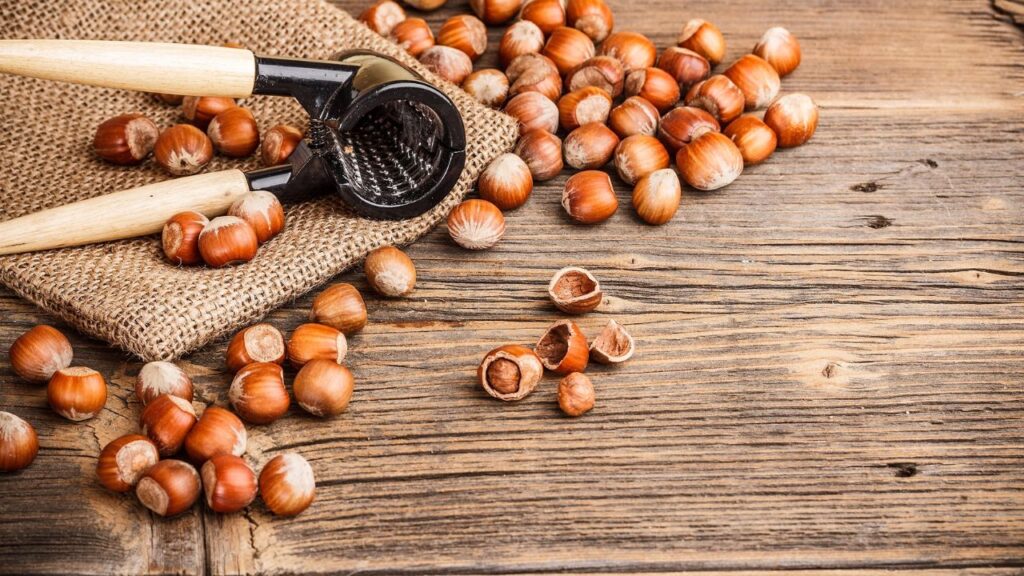 Hazelnuts Benefits