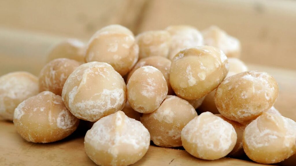 Macadamia Nuts