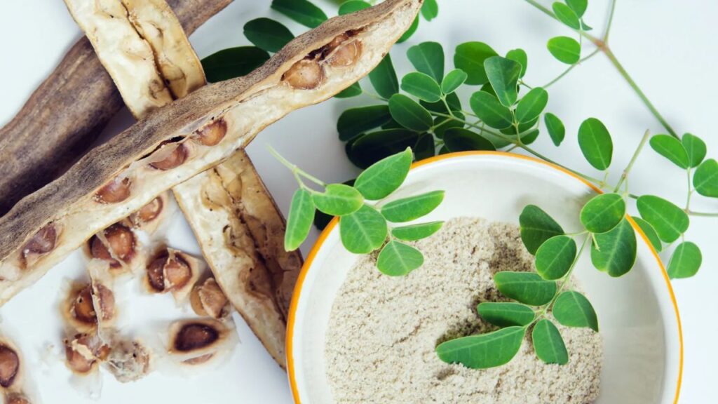 Moringa Seeds Benefits