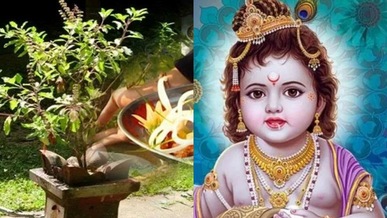 Shri Krishna Janmashtami Tulasi Puja Upay
