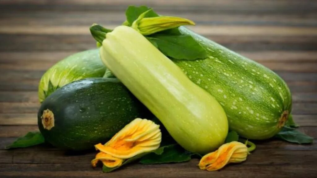 Weight Control Diet Plan