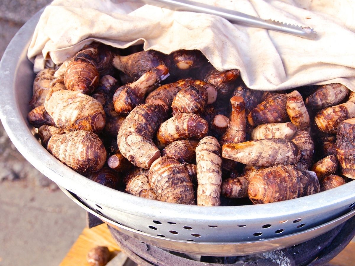 Taro roots Benefits