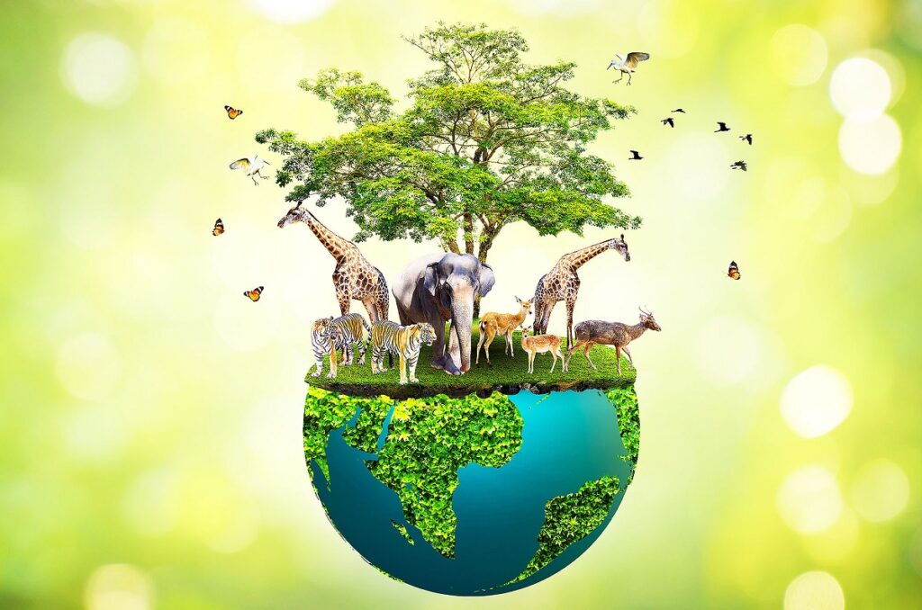 Steps Taken by the Government to Protect Wildlife