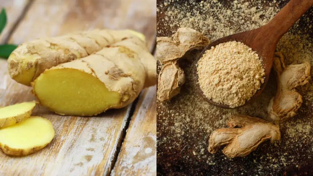 Dry Ginger Powder Benefits
