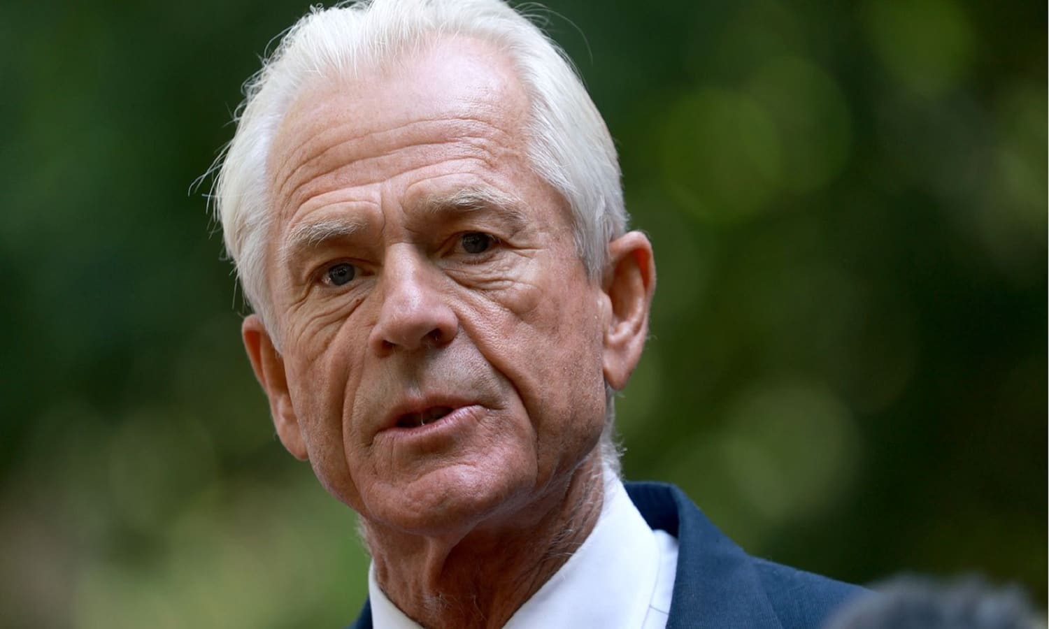 Peter Navarro News