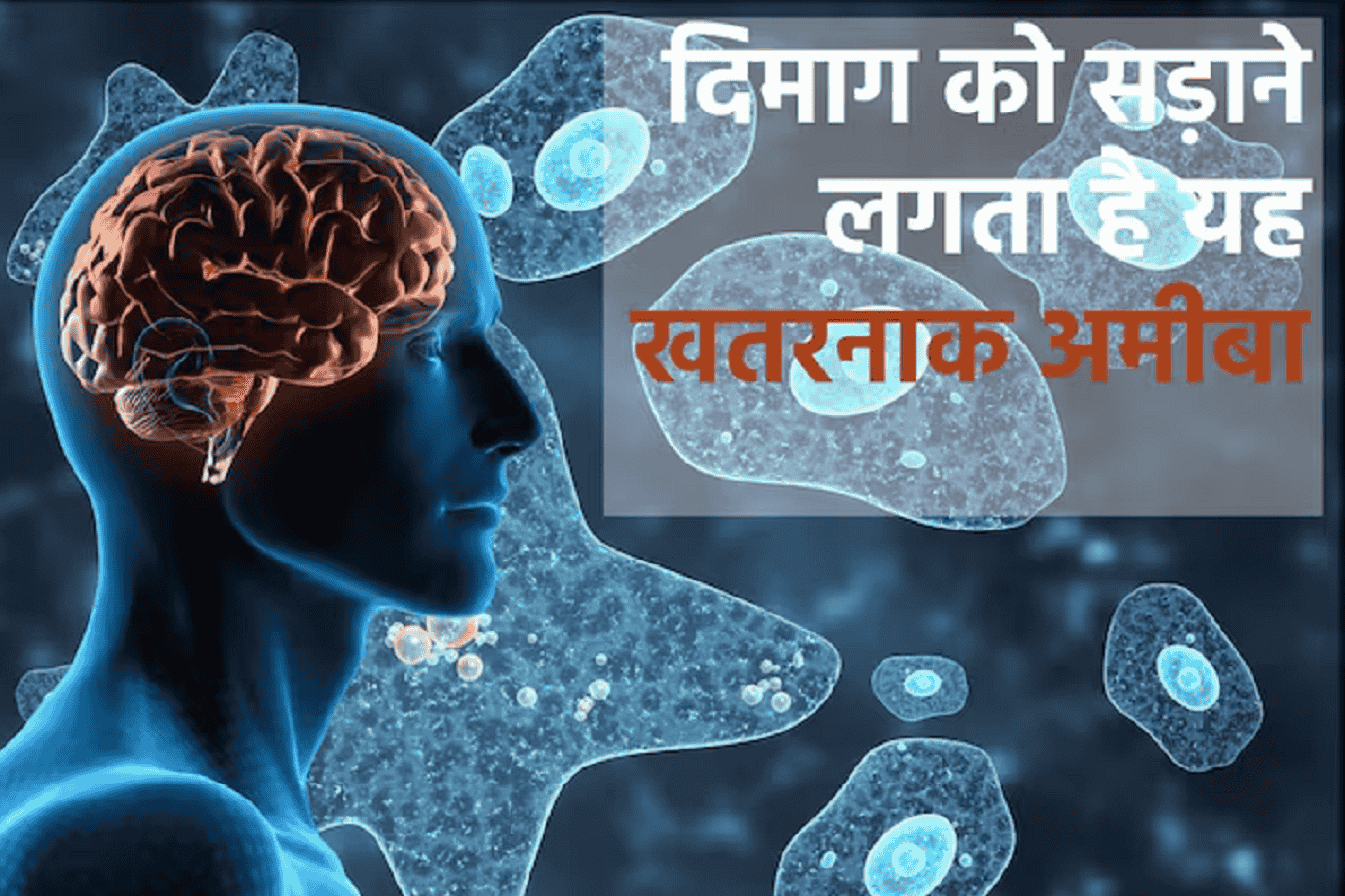 Brain Eating Amoeba Alert: केरल में नई बीमारी से हाहाकार, एक और शख्स की हुई मौत, जारी किया गया अलर्ट