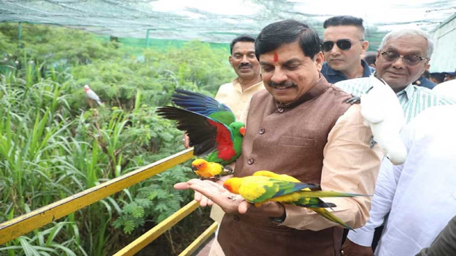 मध्यप्रदेश लाए गए 4 जंगली भैंस, नए मेहमानों को देखने पहुचे सीएम मोहन ने कहा…