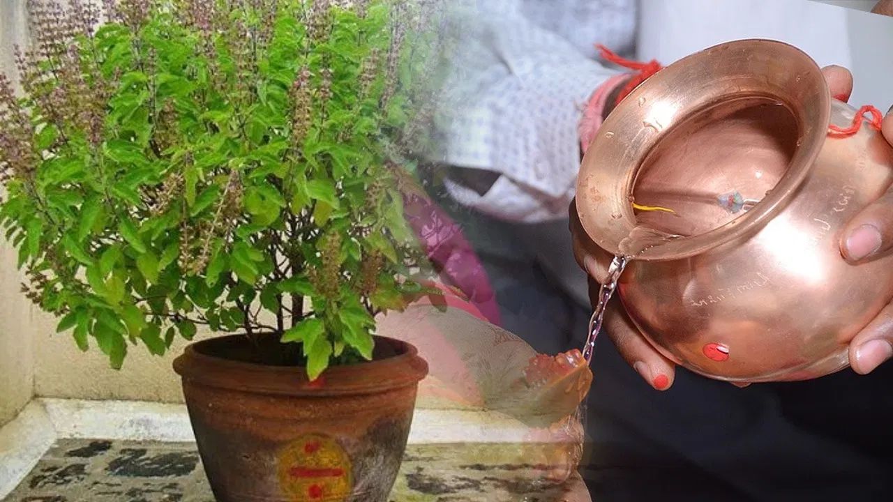 Dev Uthani Ekadashi 2025 Tulsi Upay