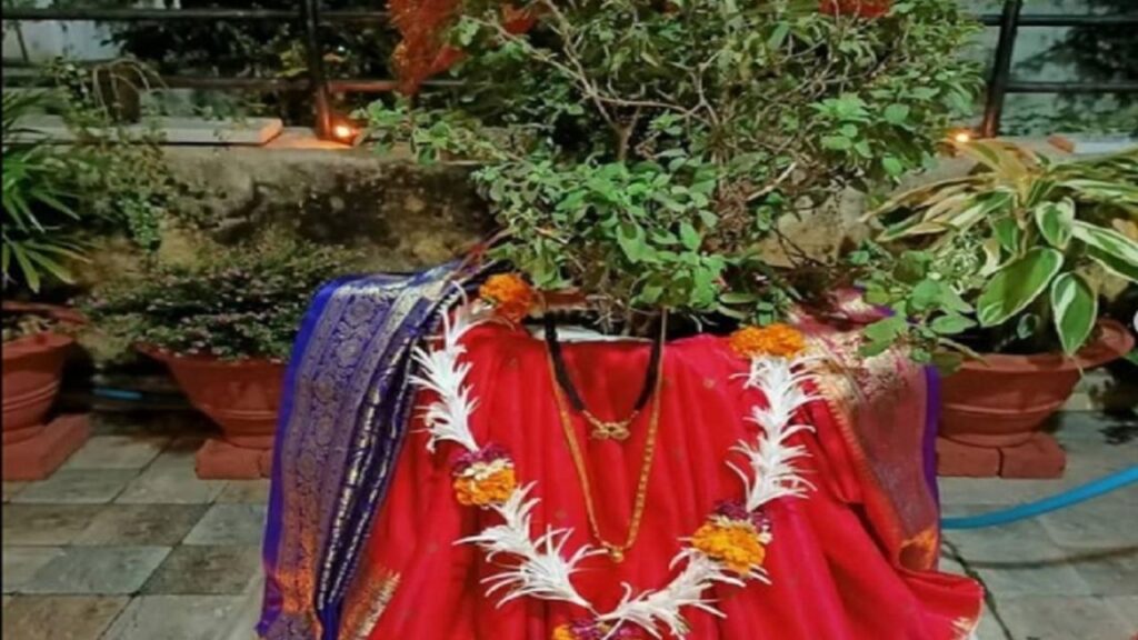 Dev Uthani Ekadashi 2025 Tulsi Upay