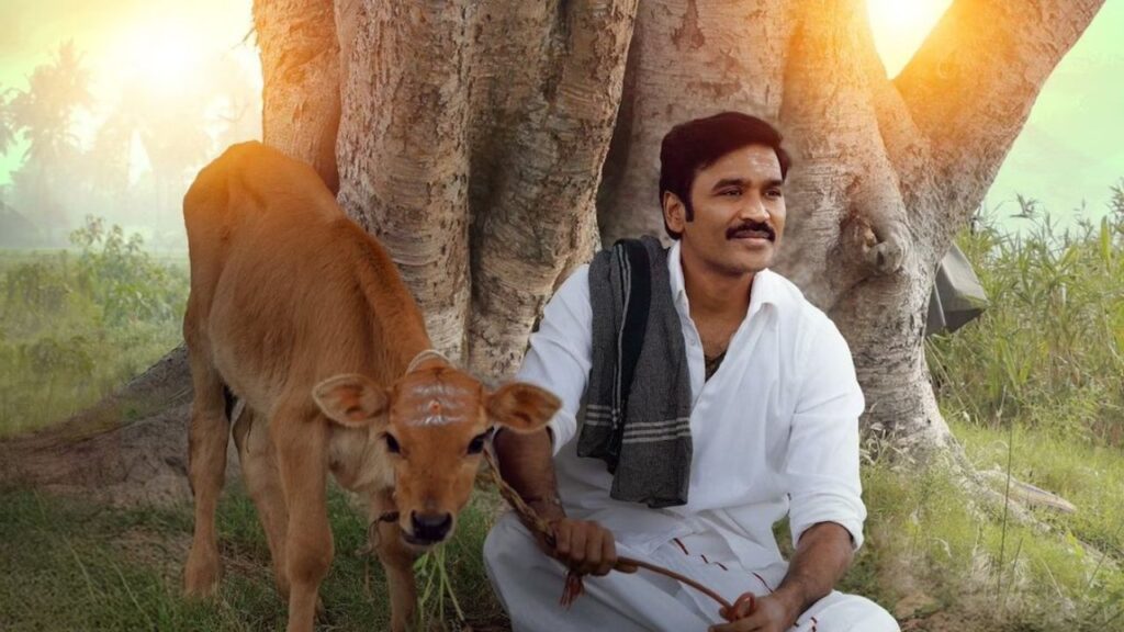 Dhanush’s Idli Kadai or SRK’s Swades