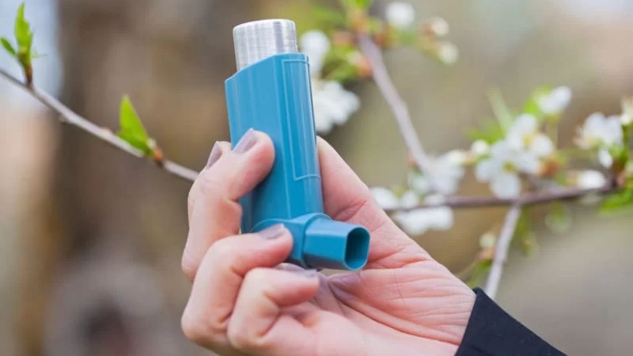 Ayurvedic Remedies for Asthma