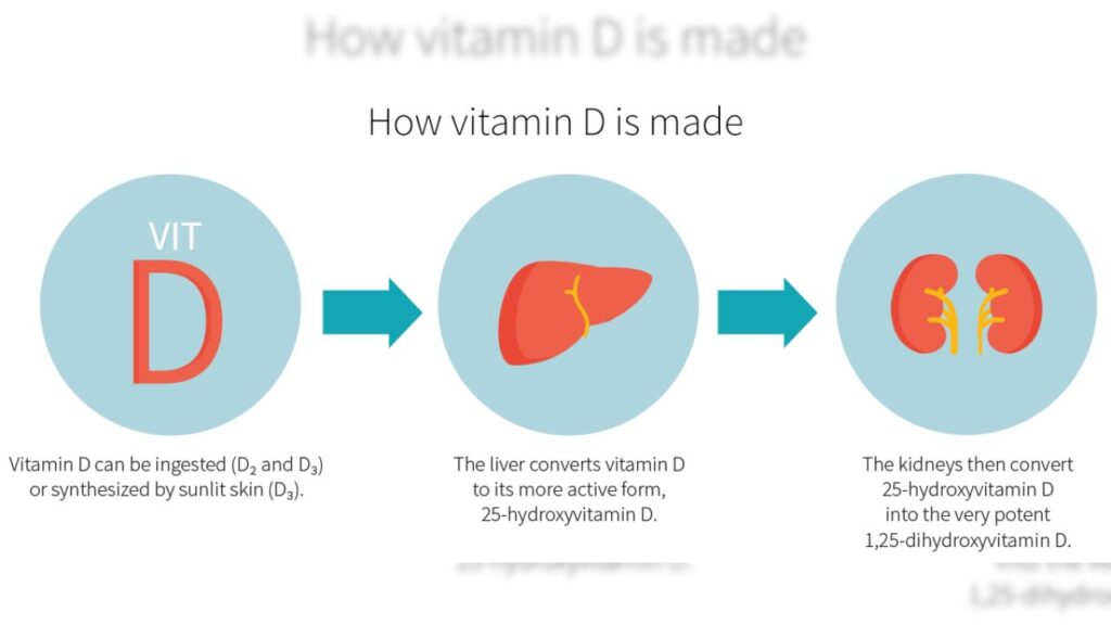 Direct Connection Of Winter Vitamin D and Depression