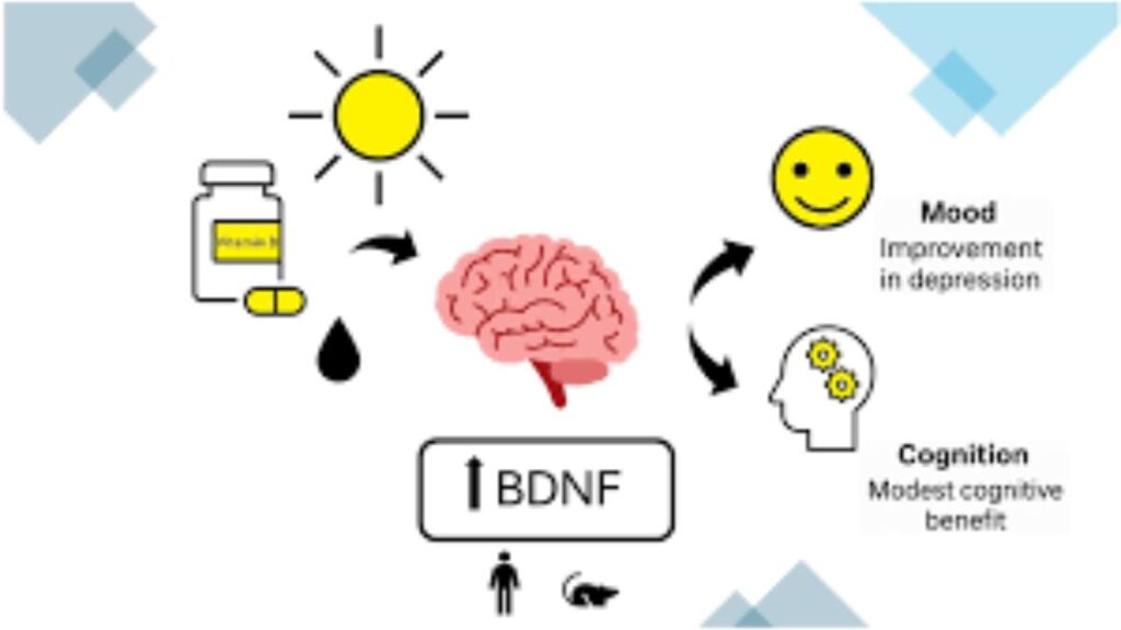 Direct Connection Of Winter Vitamin D and Depression