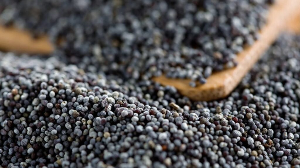 Poppy Seeds Winter Superfood