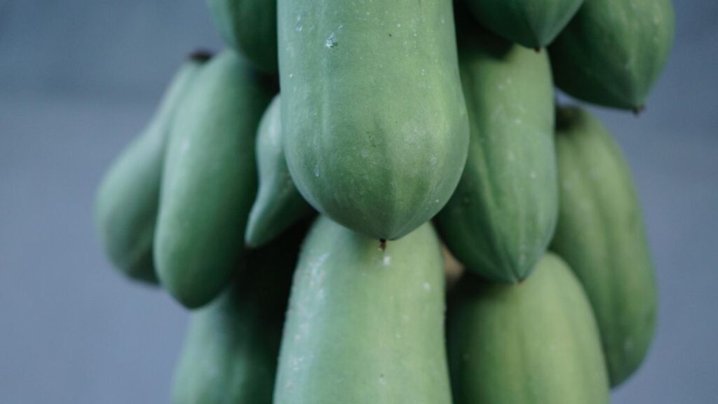 Raw Papaya Benefits