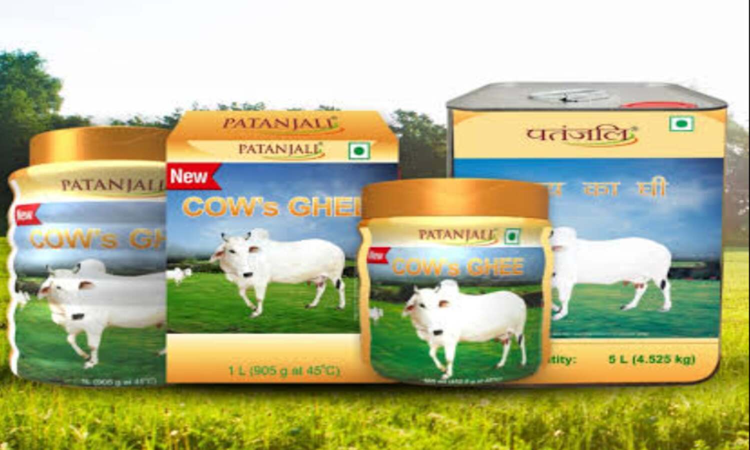 पतंजलि घी पर खाद्य विभाग द्वारा लगाए गए बैन और चेतावनी की जानकारी