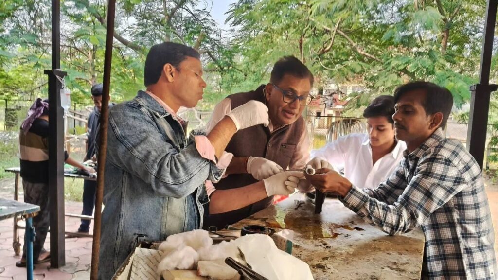 मध्य प्रदेश में घायल कोबरा के ऑपरेशन और चिकित्सकीय उपचार की तस्वीर