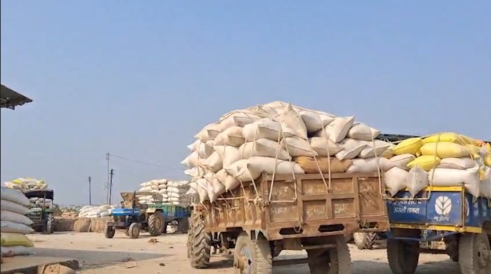 Rewa News: बारदाने की कमी और सत्यापन प्रक्रिया से धान उपार्जन केंद्रों पर हाहाकार, किसान ठंड में परेशान